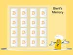 Birali Memory