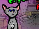 Killkitten